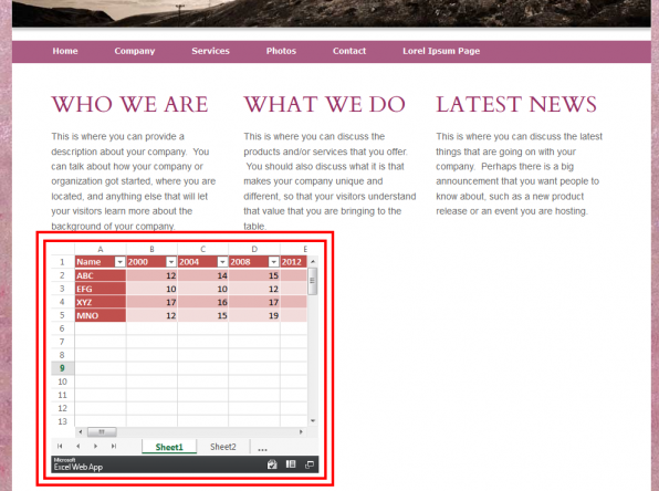 10 example of webpage with embedded excel file