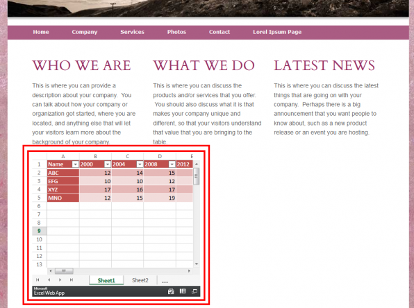 example of webpage with embedded excel file